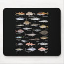 Search for fishing humour electronics Bass