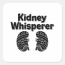 Search for kidney stickers Dialysis