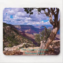 Search for canyon electronics Travel