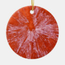 Search for graphic christmas tree decorations Abstract