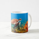 Search for seaturtle mugs Sealife