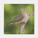 Search for depth of field magnets Nature