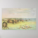 Search for the catlins posters Indian