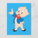 Search for looney toons characters postcards Porky pig