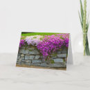 Search for drape cards Flowers
