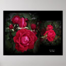 Search for shrub art Photography