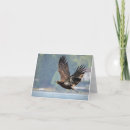 Search for juvenile cards Wildlife