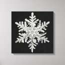 Search for snowflakes canvas prints Black
