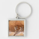 Search for catamount key rings Wildlife