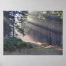 Search for beam posters Mountains