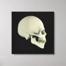 Search for side view canvas prints Close up