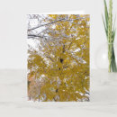 Search for black squirrel cards Winter