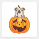 Search for bulldogs stickers Funny