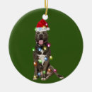 Search for pitbull christmas tree decorations Efl