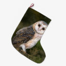 Search for owl christmas stockings Birds