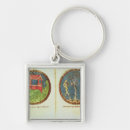 Search for noah ark key rings School