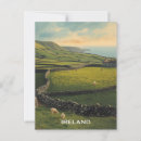 Search for ireland postcards Sheep