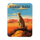 Search for reserved magnets Africa
