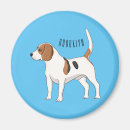 Search for scents magnets Dog