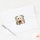 Search for goldendoodle stickers Animal