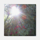 Search for sunlight magnets Floral