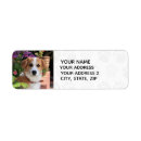 Search for add picture return address labels Dog