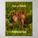 Search for chipmunk posters Nature