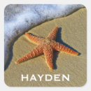 Search for orange starfish stickers Beach