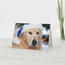 Search for australia christmas cards Pets