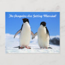 Search for penguin save the dates Bride