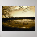Search for swamp posters Scenic