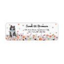 Search for norwegian return address labels Norwegian forest cat
