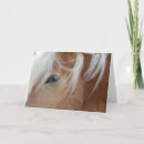 Search for chestnut cards Pony