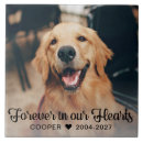 Search for pet memorial plaques Sympathy