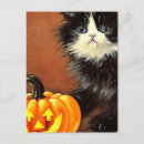 Search for black kitten postcards Jack o lantern