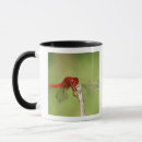 Search for nature reserve mugs Horizontal