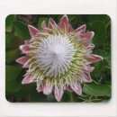 Search for big flower mousepads Floral
