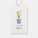 Search for white daffodil Cute