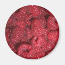 Search for raspberry magnets Red