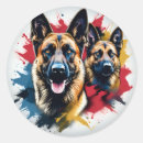 Search for malinois stickers Animal