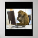 Search for thinking monkey posters Curious ape