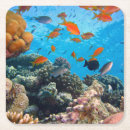Search for underwater coasters Fish