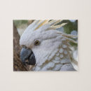 Search for cockatoo bird puzzles White