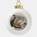 Search for mammal christmas tree decorations Wild