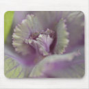 Search for vegetables electronics Purple