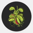 Search for trapped stickers Venus fly trap