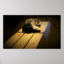 Search for slow art Photography