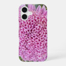 Search for aster flower iphone cases Nature