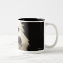 Search for collared mugs Nature