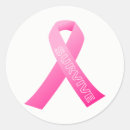 Search for survived breast cancer stickers Survivor